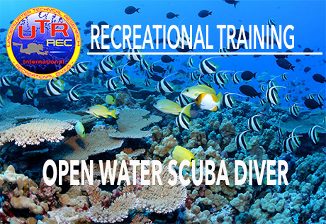 REC 1 - OPEN WATER SCUBA Diver