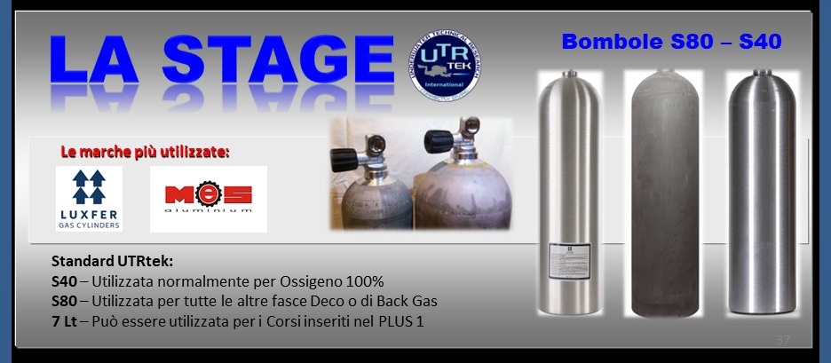 PLUS 1 Stage - Diver